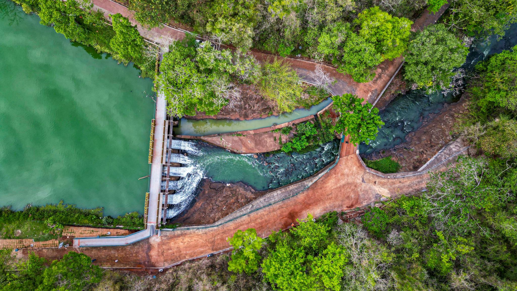 Aerial view of a restoration site with water management infrastructure surrounded by forest